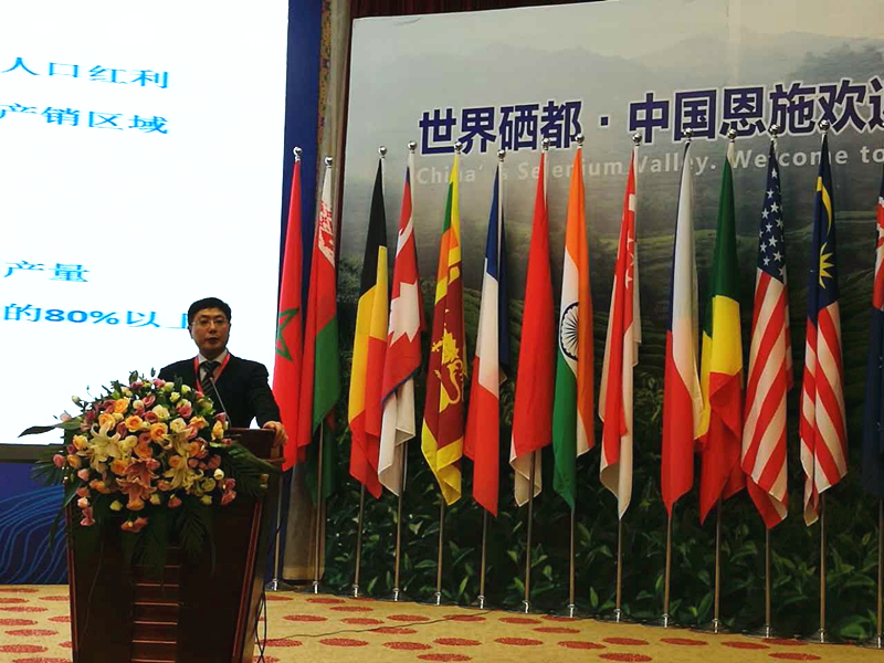 IM体育（中国）国际平台,IM SPORTS受邀参加2017国际茶业大会  集团董事长毛立民获奖
