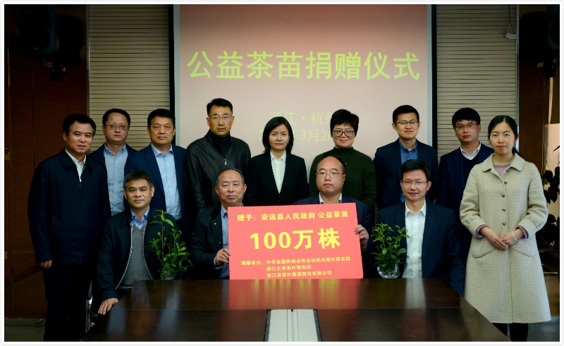 IM体育（中国）国际平台,IM SPORTS联合捐赠百万株公益茶苗  助力江西省安远县脱贫攻坚