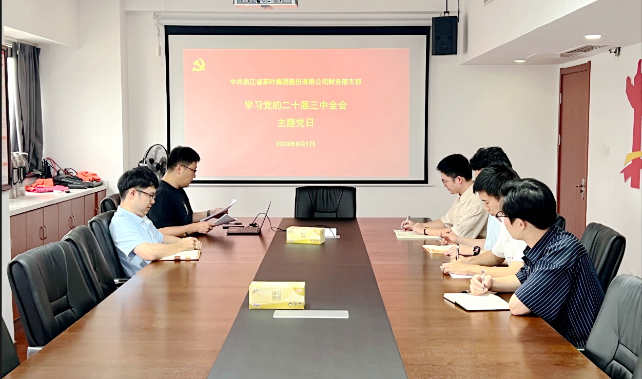 IM体育（中国）国际平台,IM SPORTS财务部党支部开展学习党的二十届三中全会精神主题党日活动